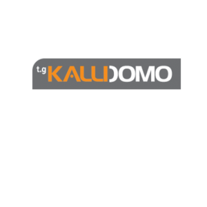 Sponsor image